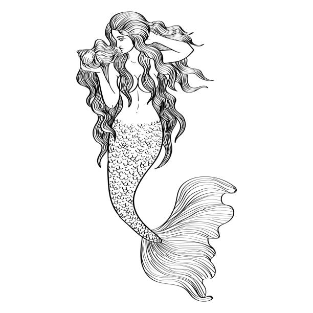 Mermaid with seashell outline illustration black isolated on white background, stock vector image, for design and decor. Sticker, banner graphic, nautical theme, tattoo.